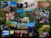 DBG-dagen 2026 – Overnachting | vrijdag 3 t/m zondag 5 juli