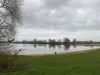 Lithse ham