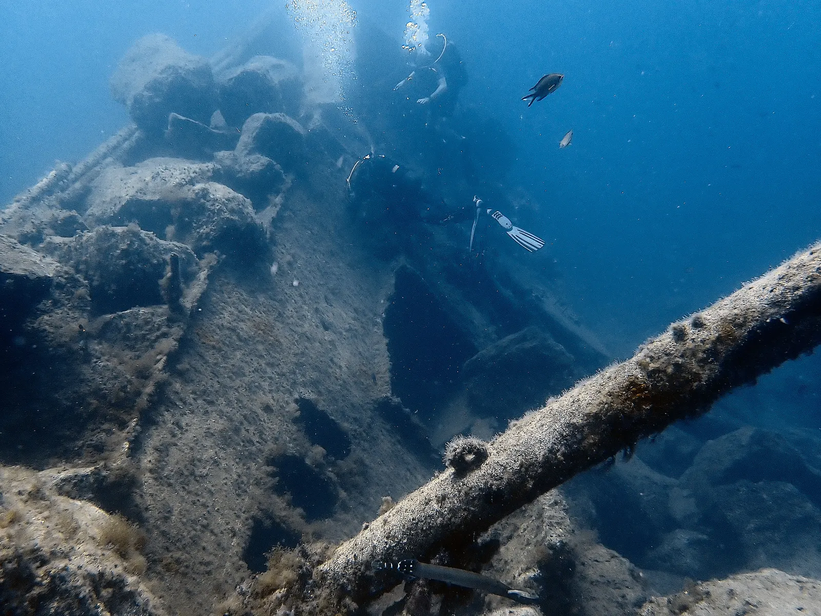 Harbour Wrecks