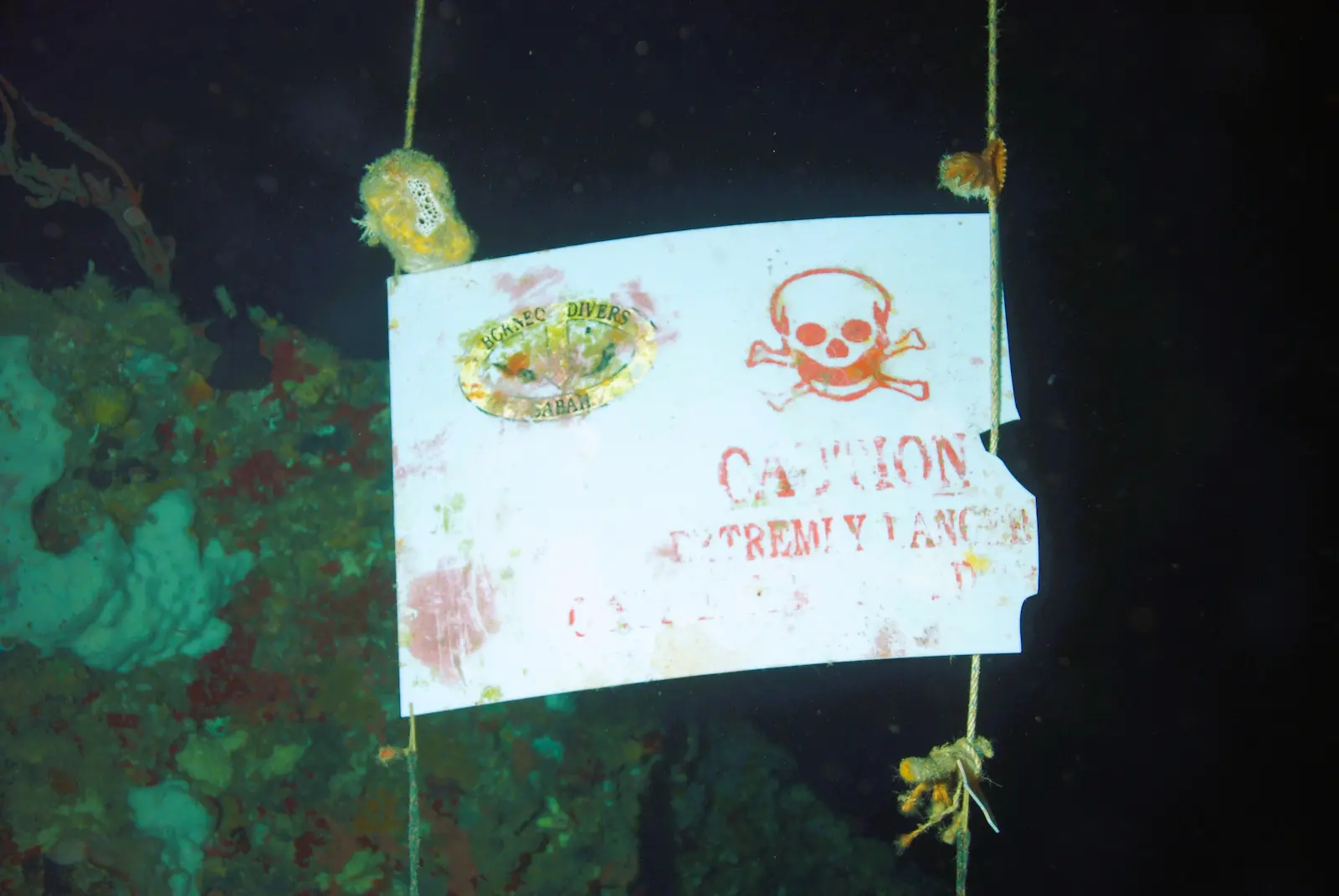 Turtle Cavern  – Paulau Sipadan
