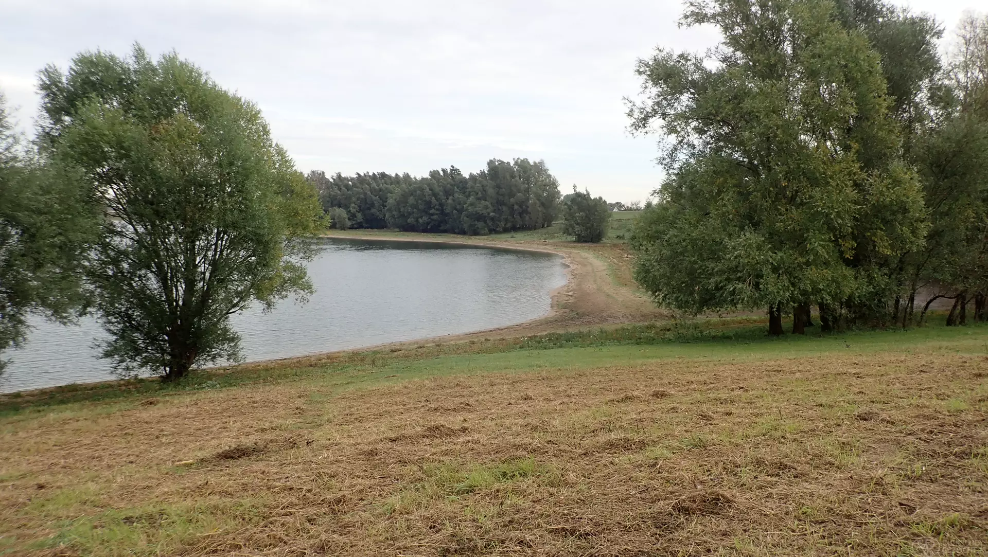 Vonkerplas