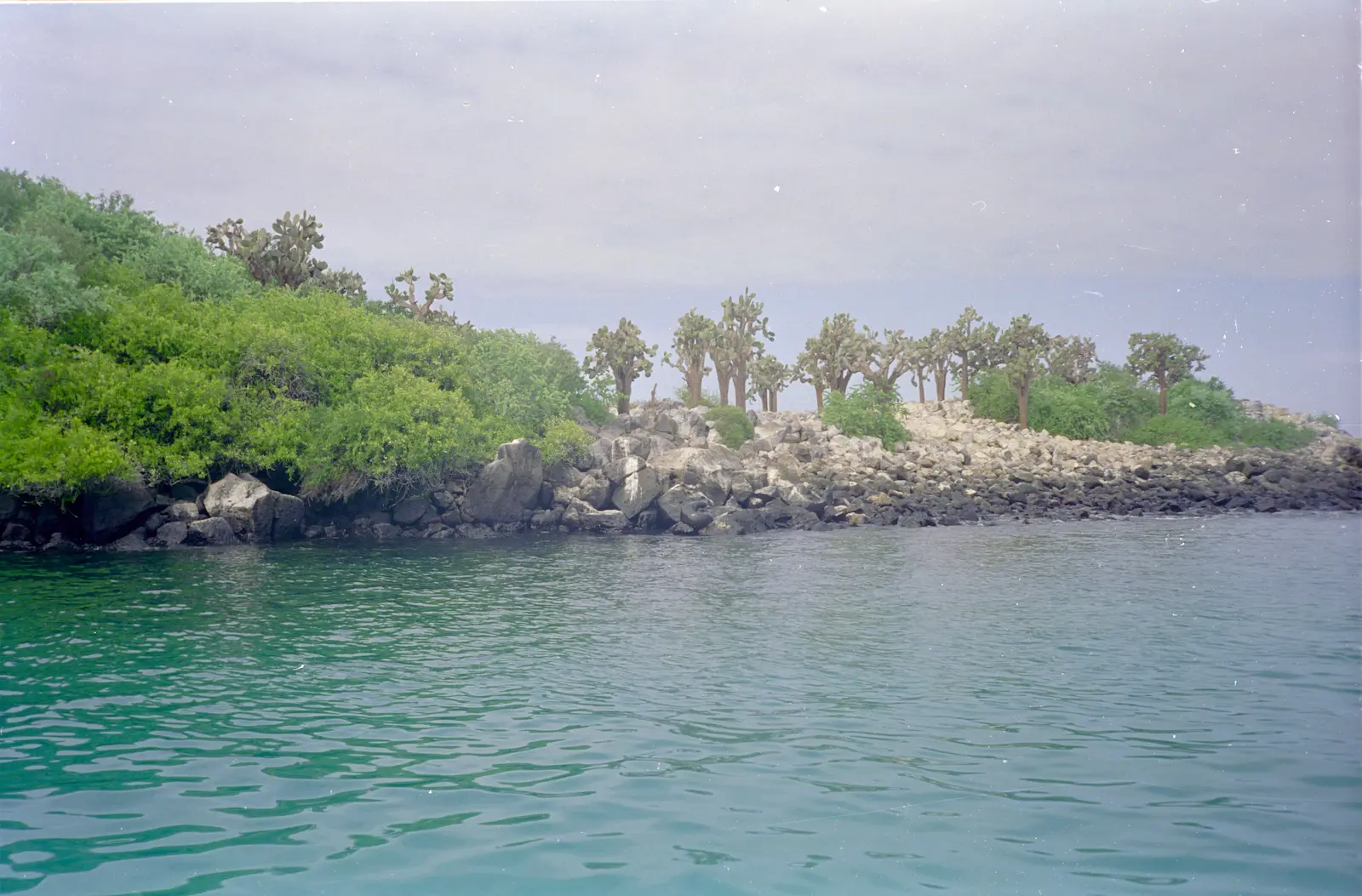 Campeón Island