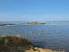 Slikken van Flakkee