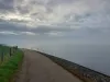 Vuilnisbelt Poortvliet