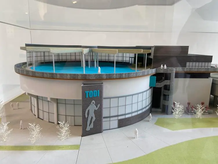 Todi Indoor Duikcentrum Beringen
