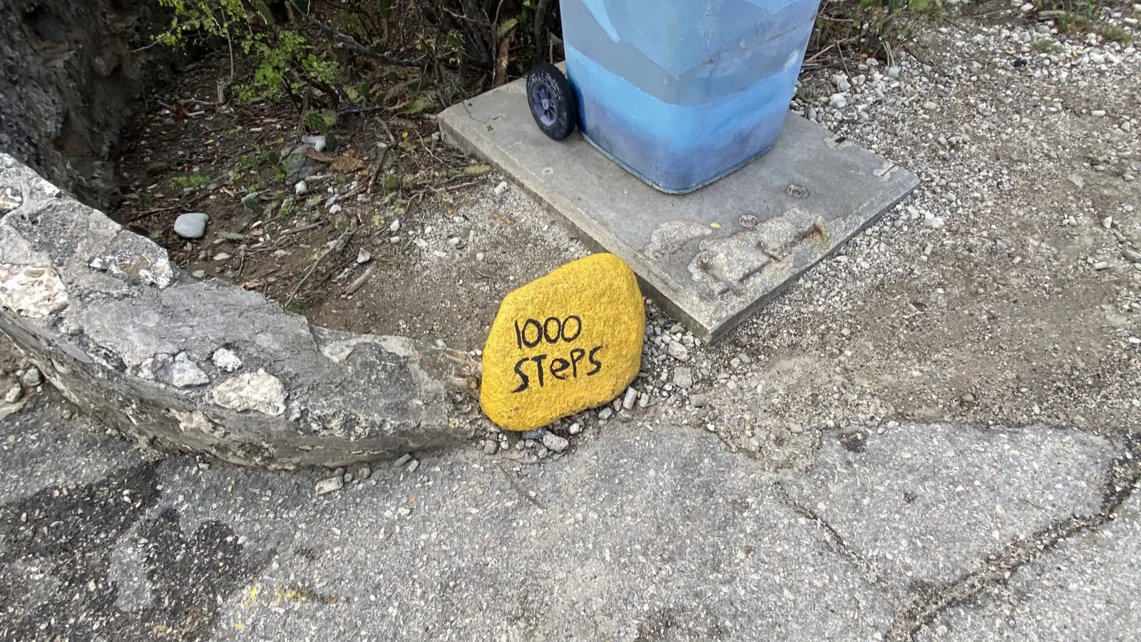1000steps 1