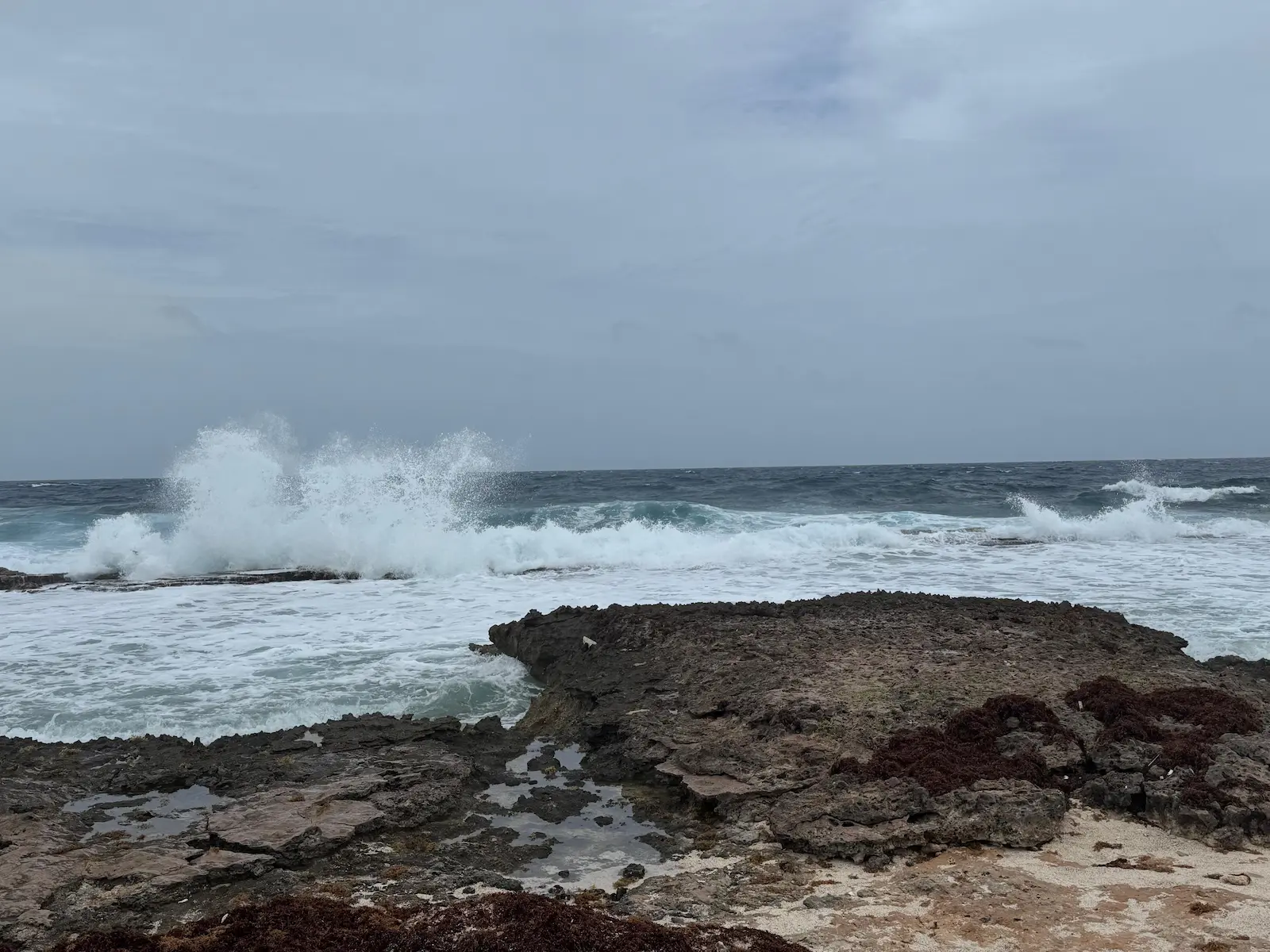 Bonaire Lighthouse onderwaterleven