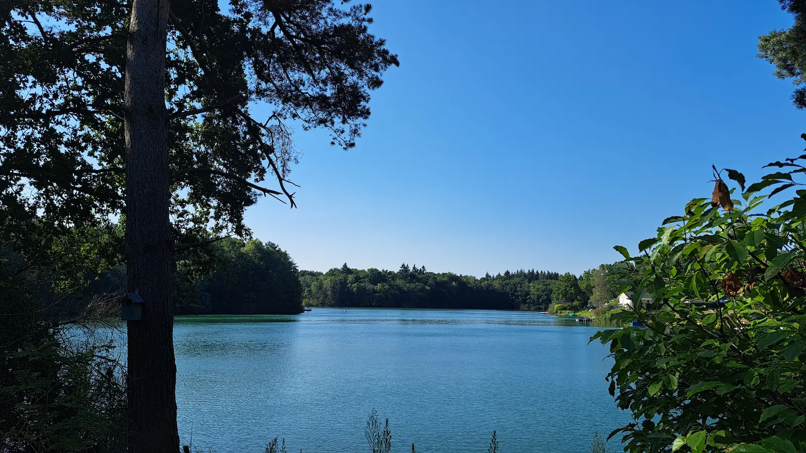 Bloksberg (2)