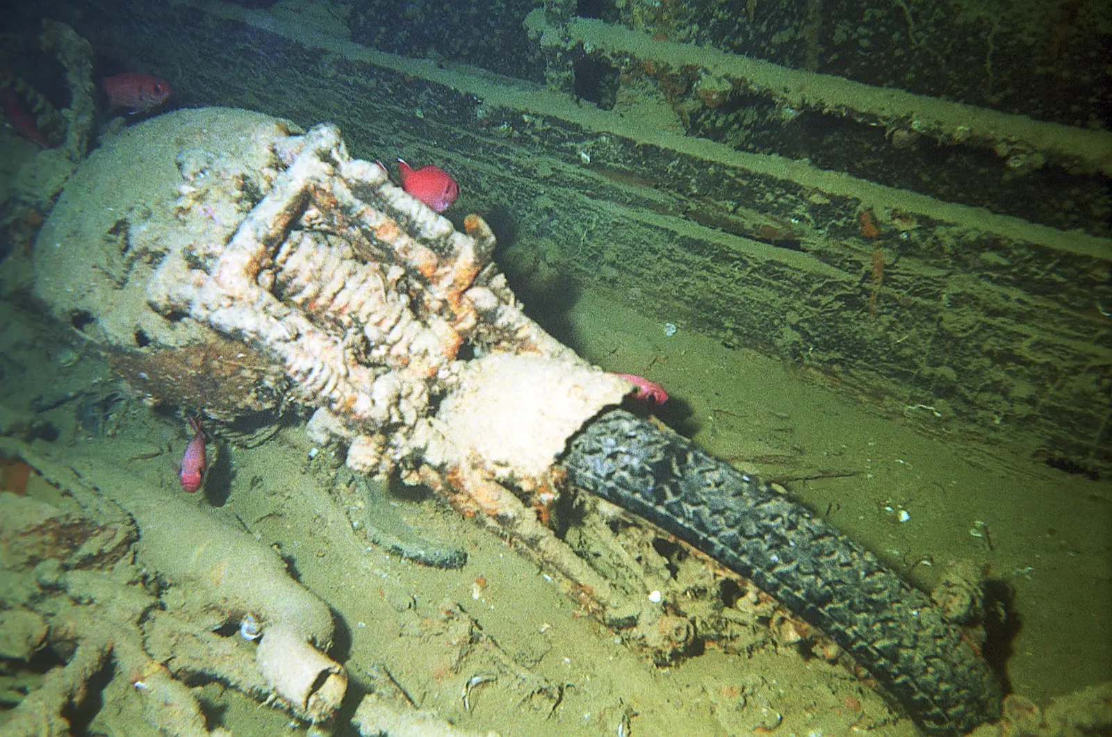 Thistlegorm (4)