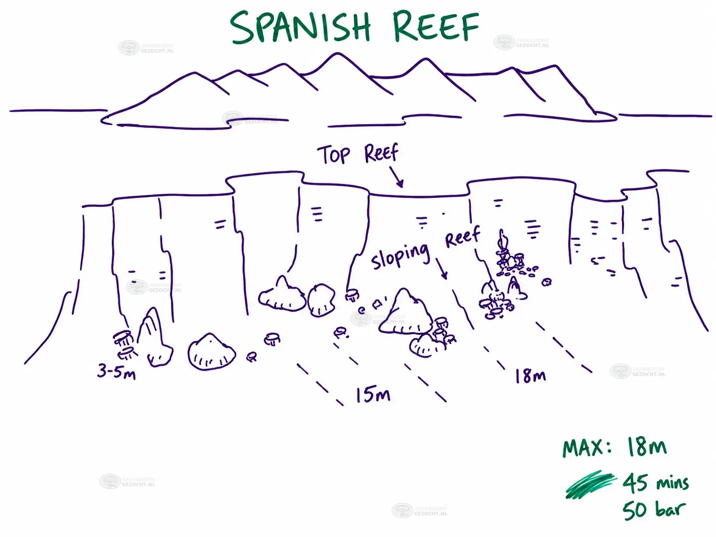 ID Spanish reef (1)