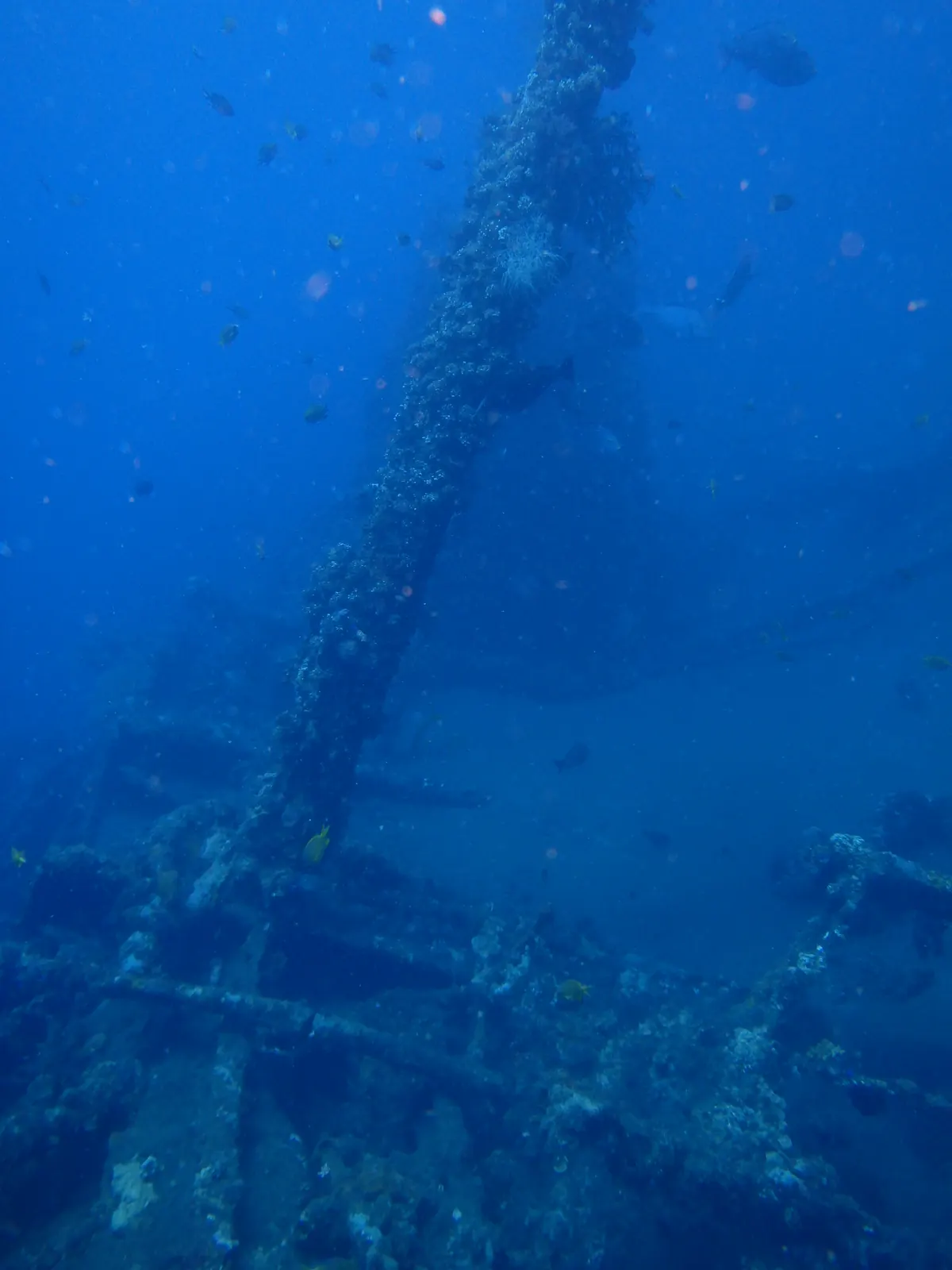 Liberty Wreck