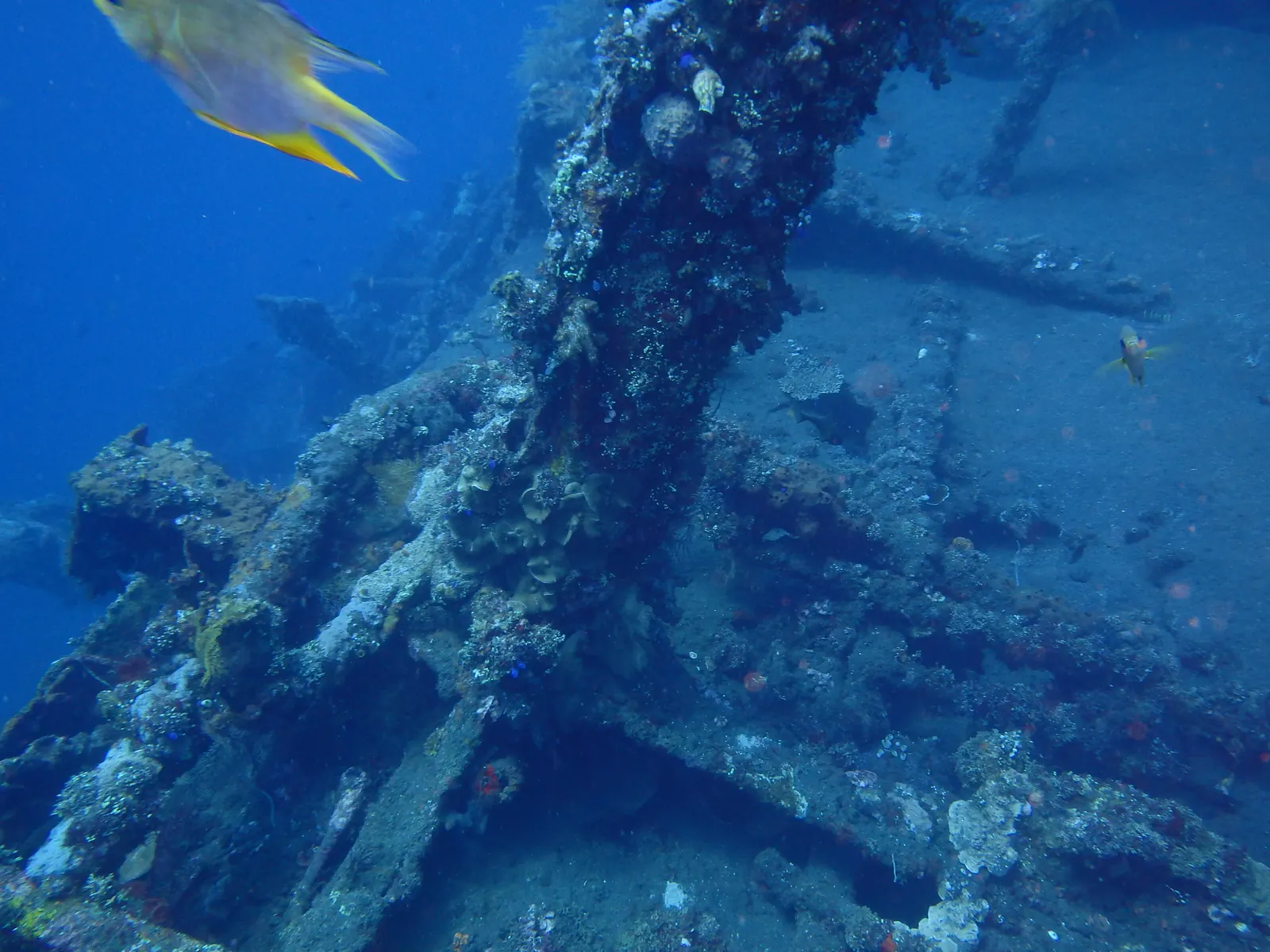 Liberty Wreck