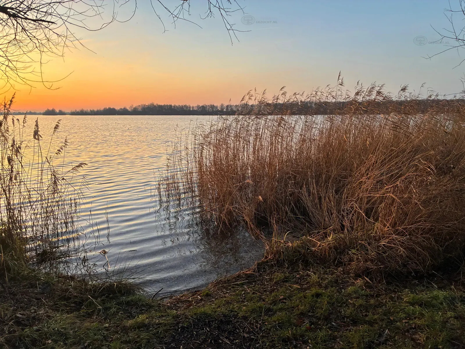 Kraaijenbergseplas 4  lommerstraat (1)