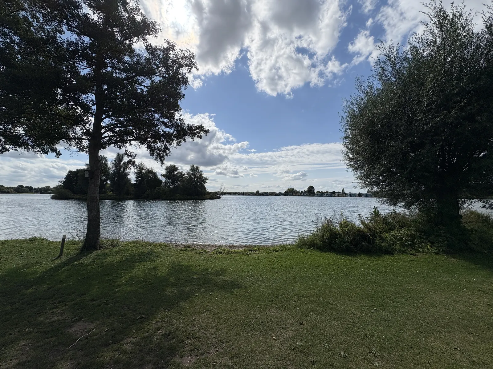 De gouden ham Groene eiland (5)