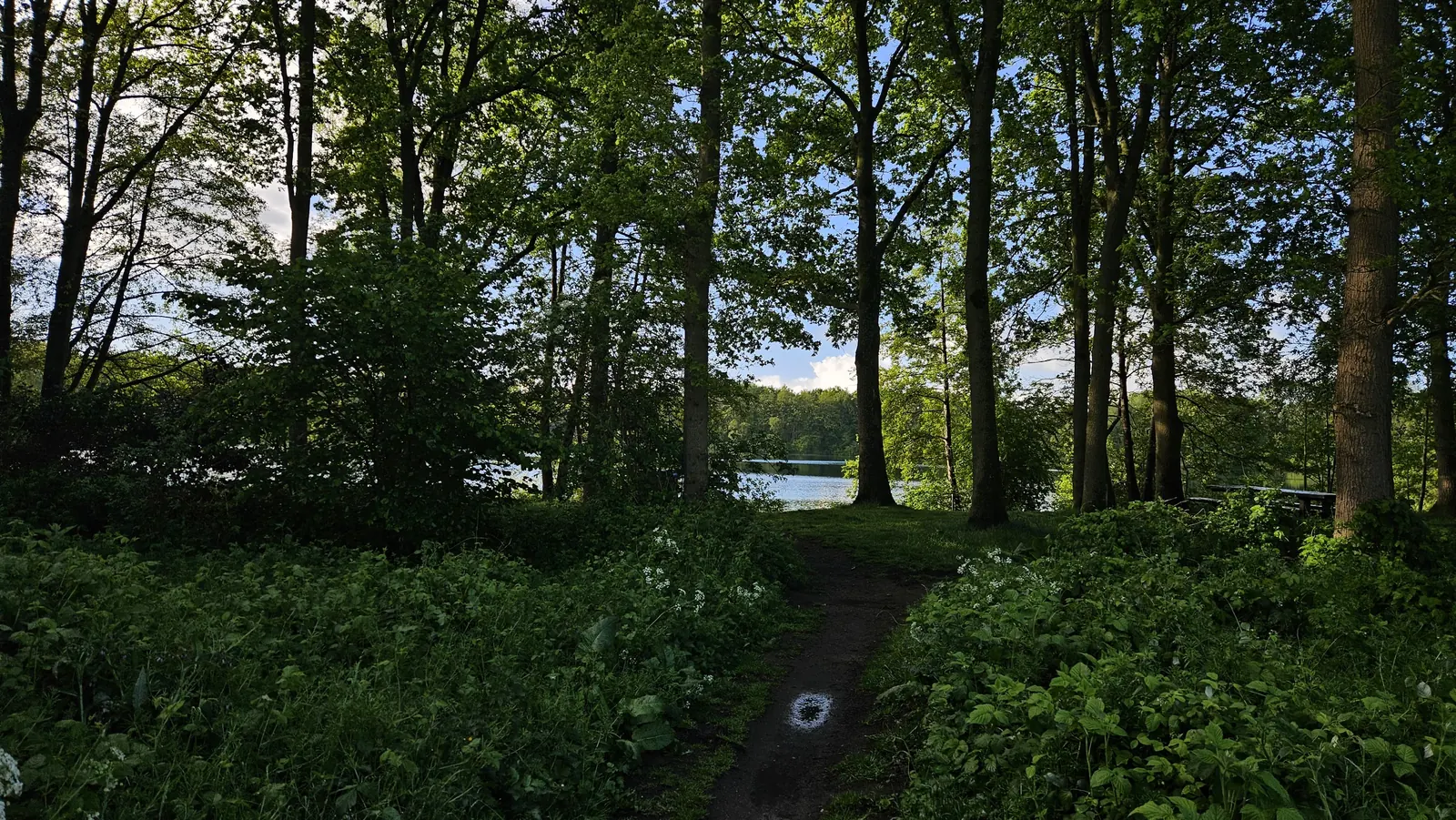 Engelgaarde Ruinerwold (1)