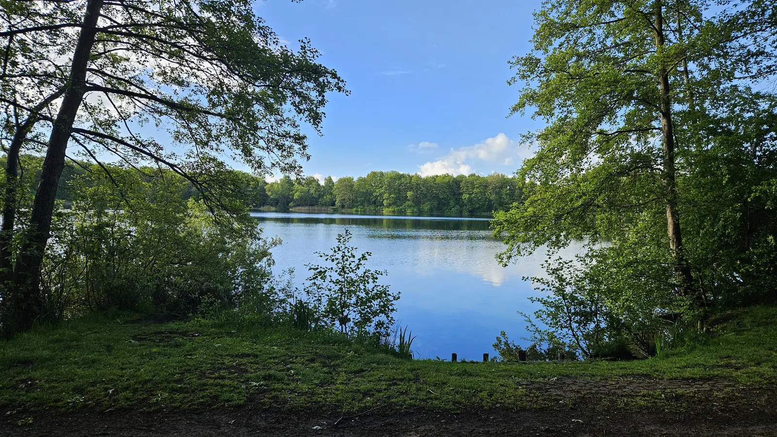 Engelgaarde Ruinerwold (6)