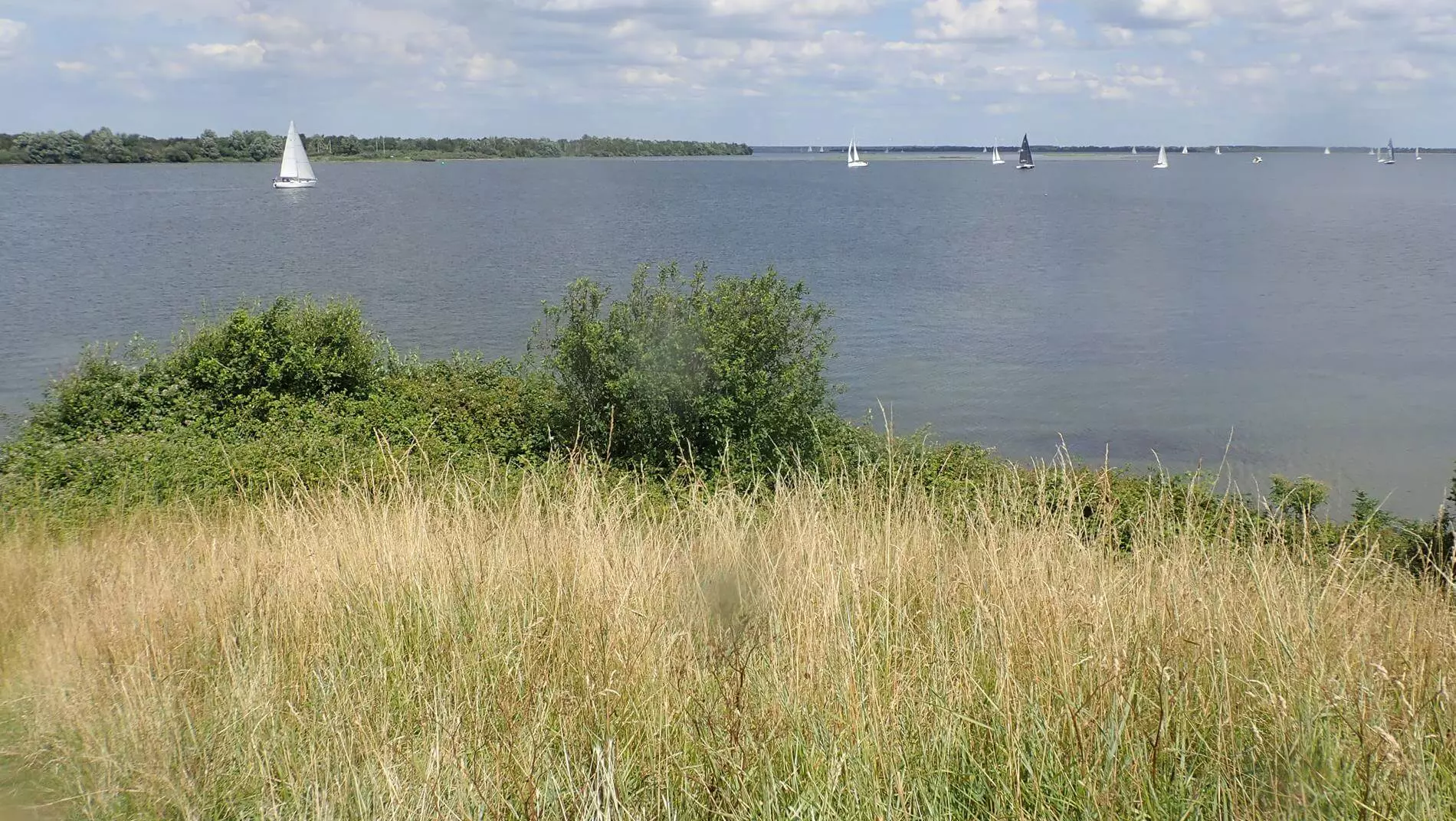 Duiklocatie Kijkuitpolder bij Zonnemaire