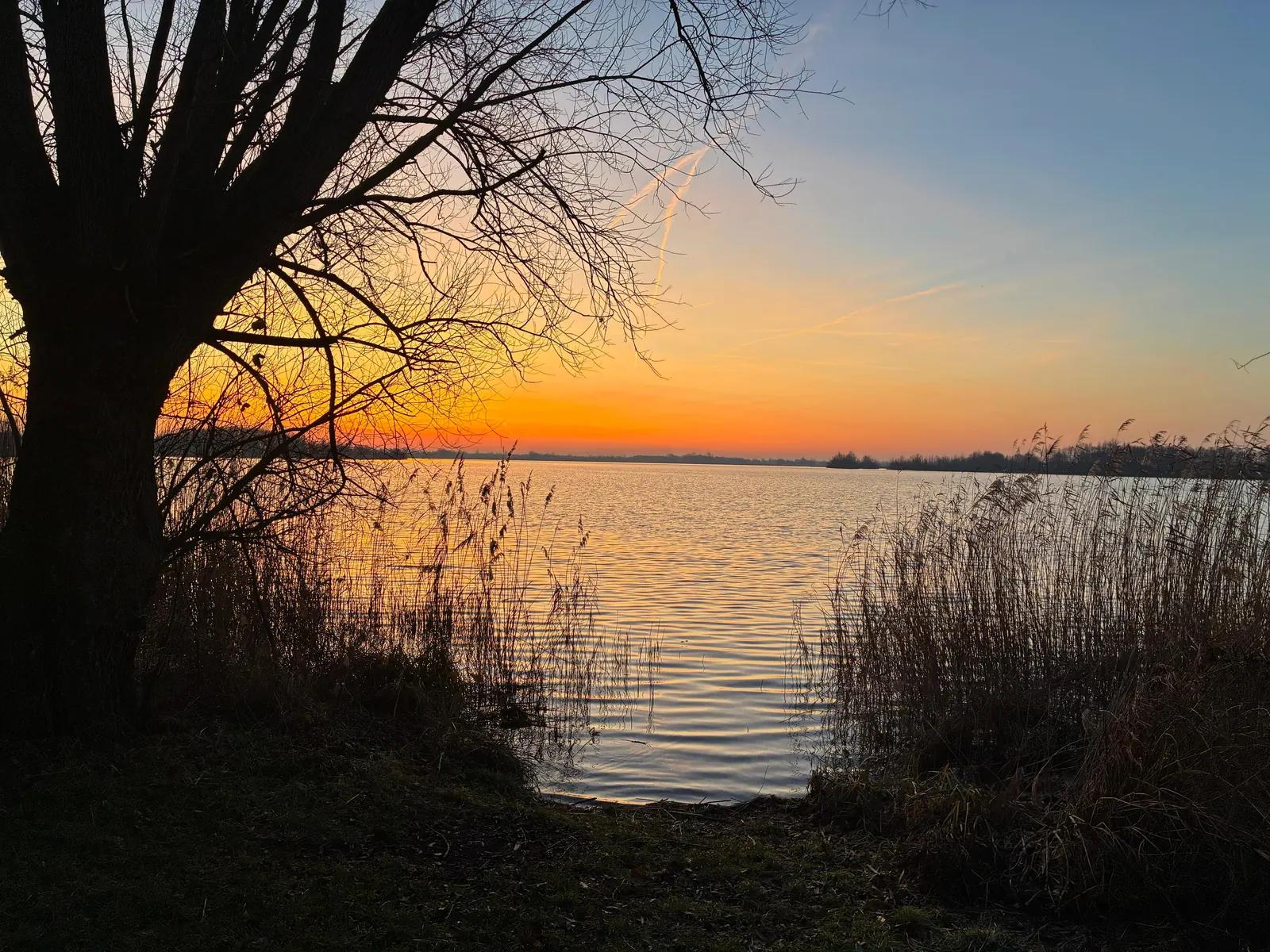 Kraaijenbergseplas 4 lommerstraat (3)