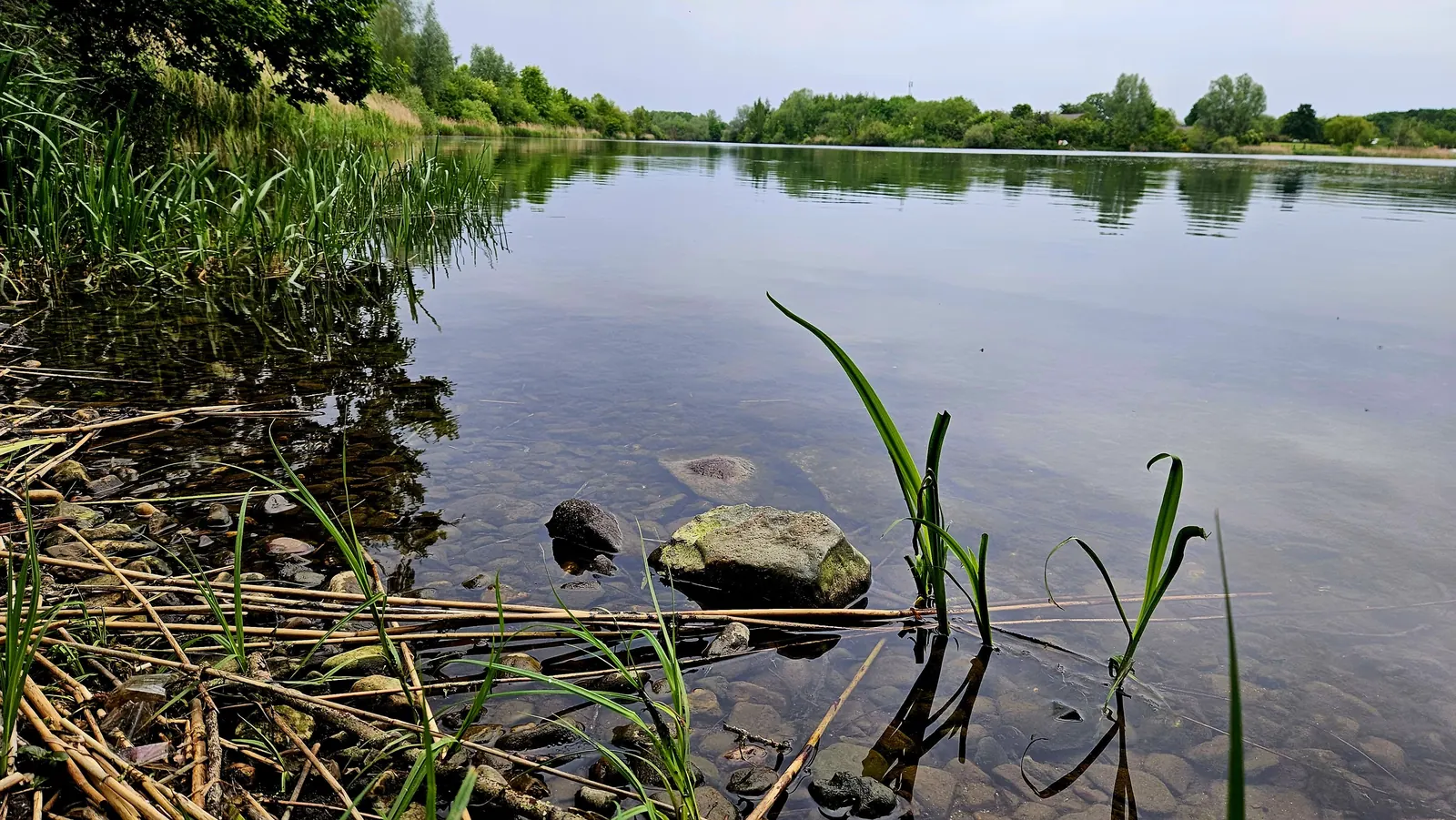 Kraaijenbergse plas 9 Raamweg (6)
