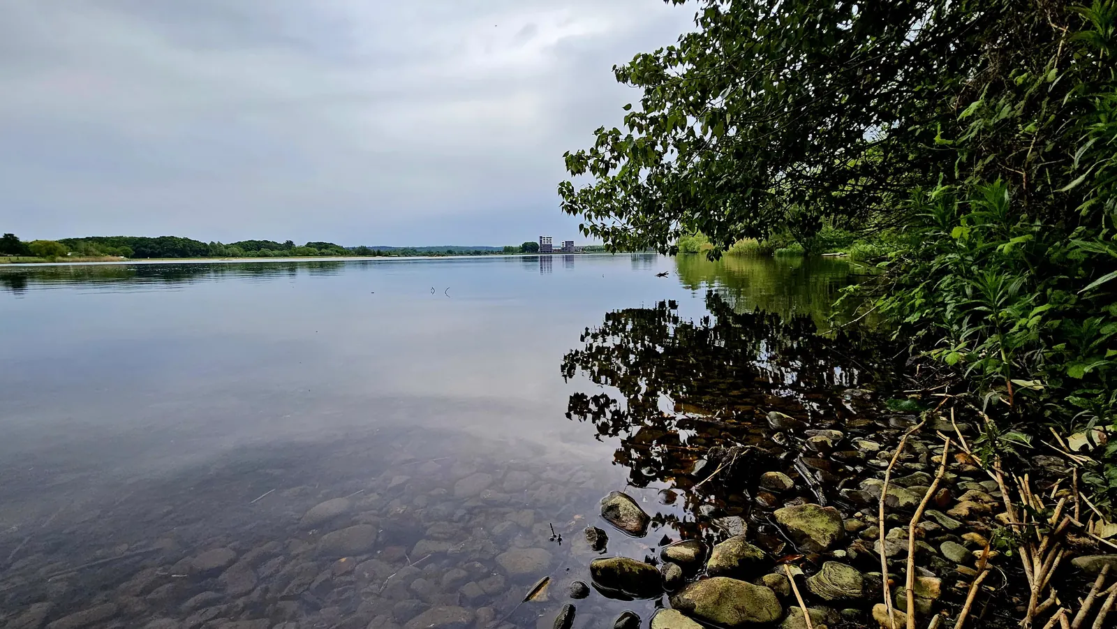 Kraaijenbergse plas 9 Raamweg (9)
