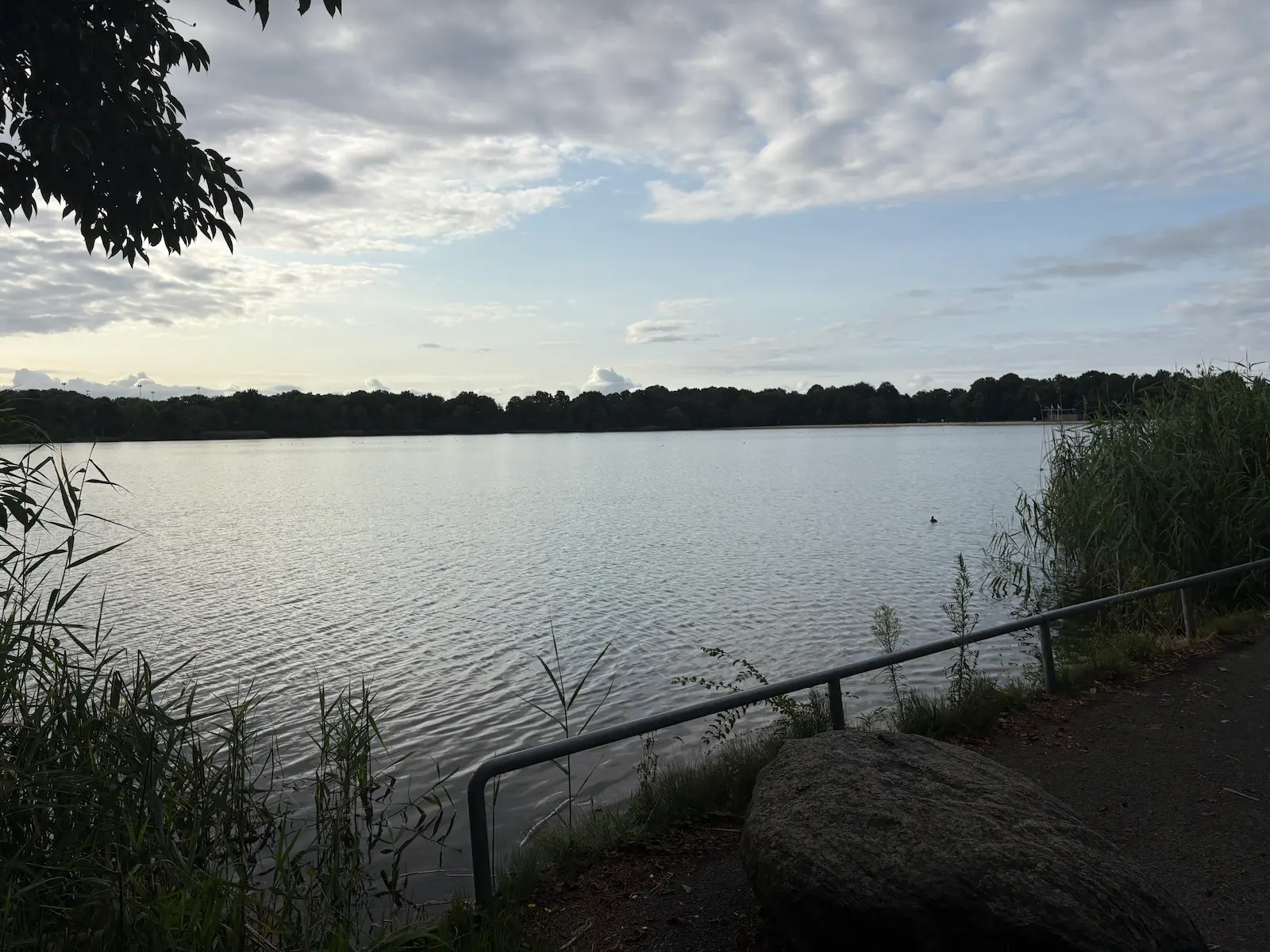 Duiklocatie Oosterplas in Den Bosch