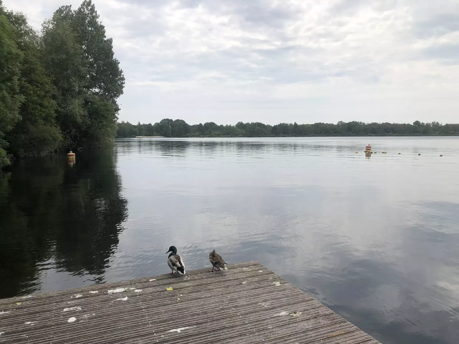Spiegelplas bij Nederhorst den Berg