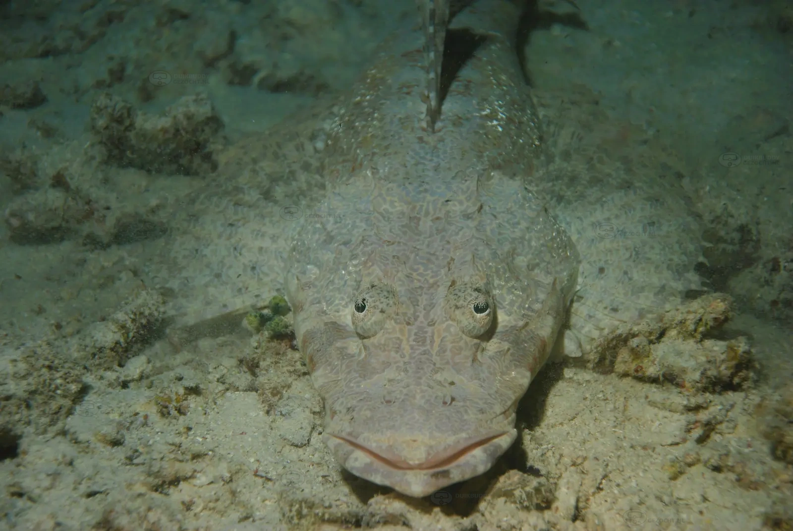 Seaventures Oil Rig 002