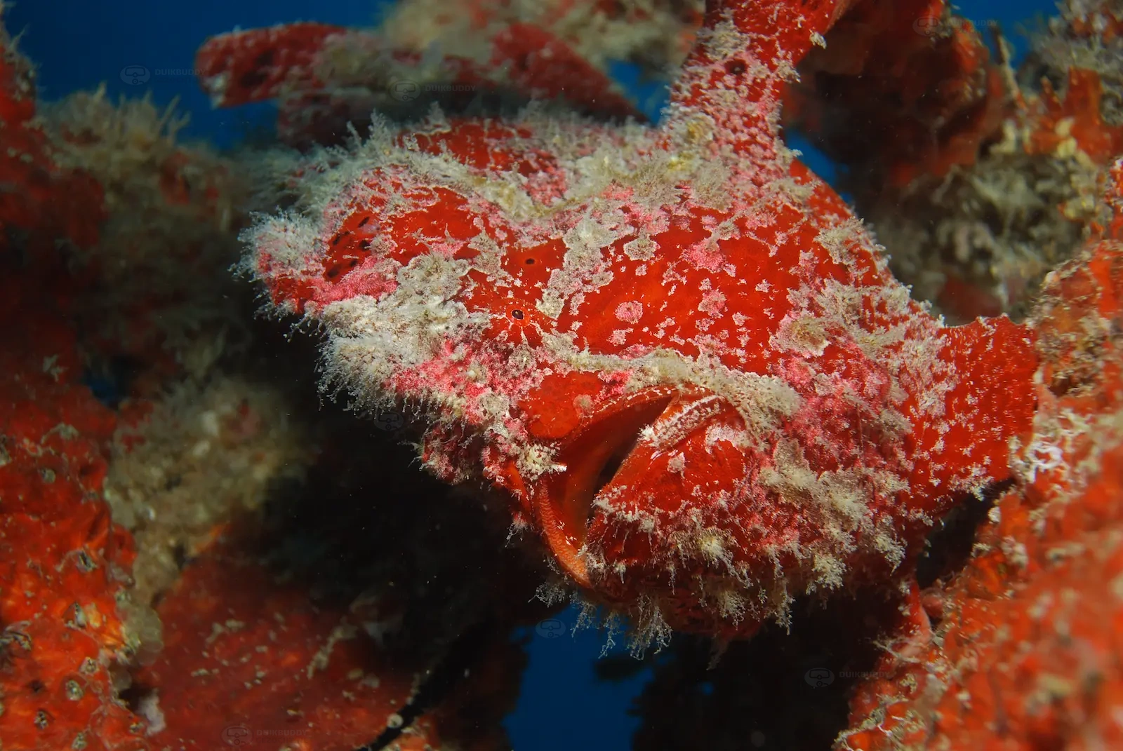 Seaventures Oil Rig 005