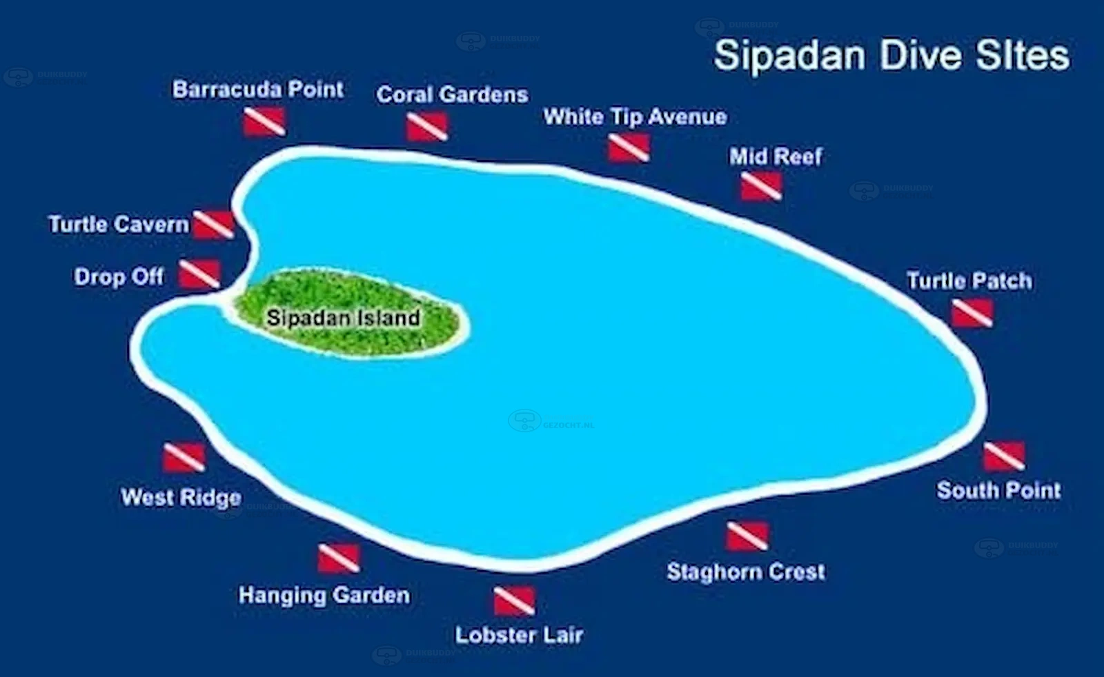 Sipadan eiland  duiklocaties