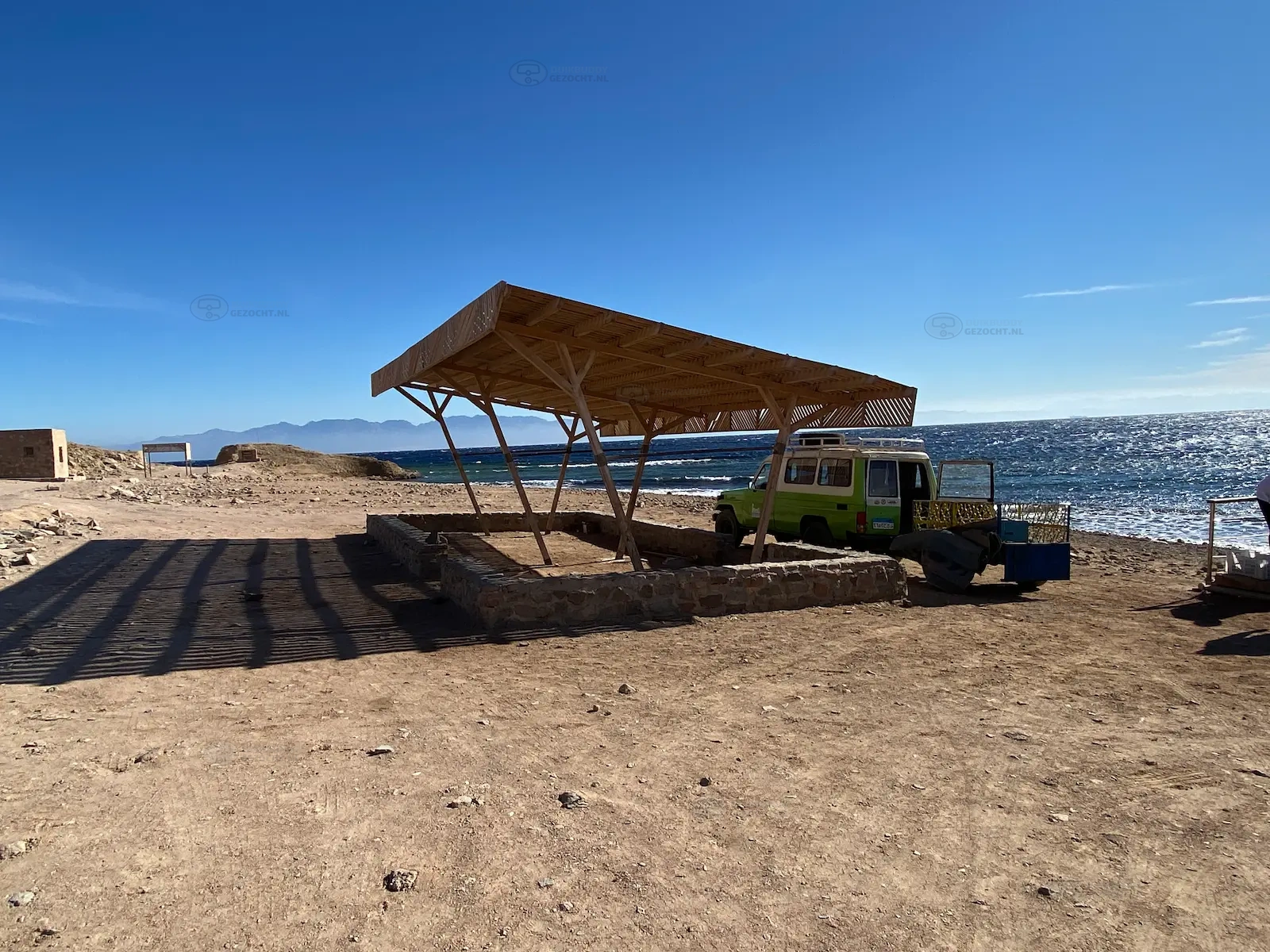 Tiger reef Dahab (1)