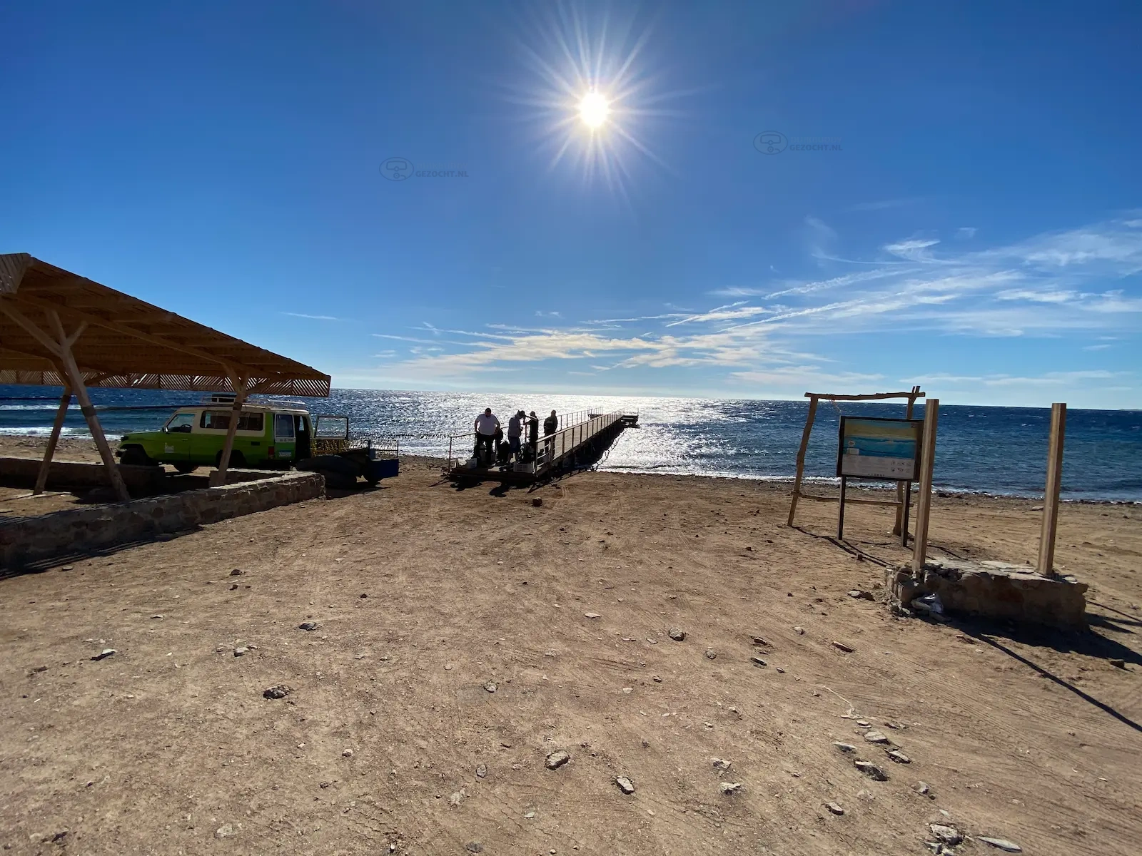 Tiger reef Dahab (6)